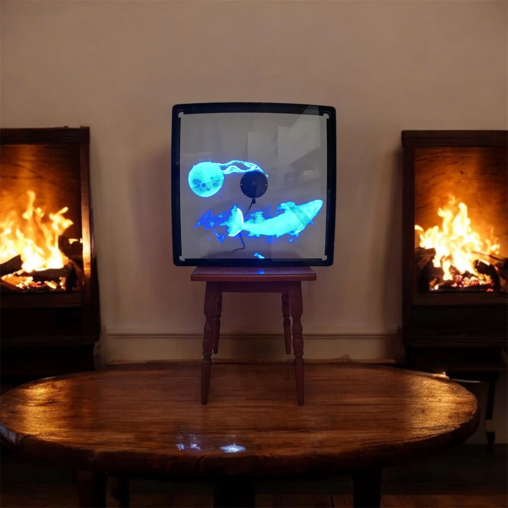 Hologramový 3D box projektor – krytý displej pro poutavé vizualizace